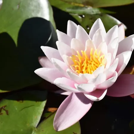 Campeggio De L'aventurier *